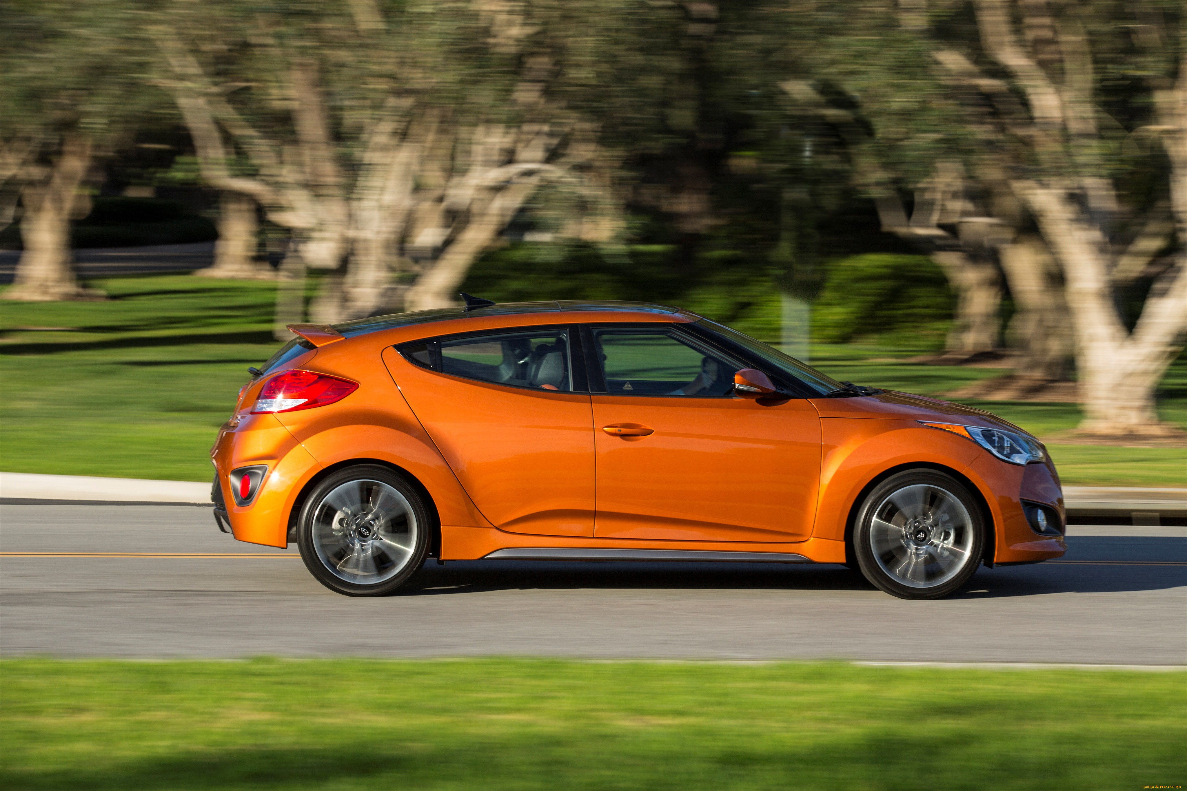 , hyundai, turbo, veloster, us-spec, 2016